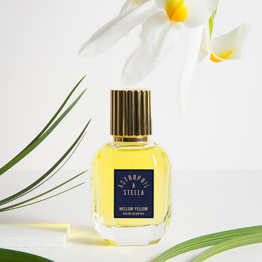 Mellow Yellow Extrait 50 ml Image 4